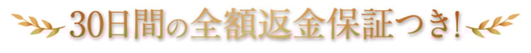 30日間の全額返金保証つき