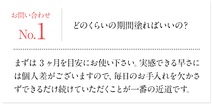 商品問い合わせ1